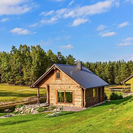 Vip Forest Dreams Villa Anyksciai Exterior photo