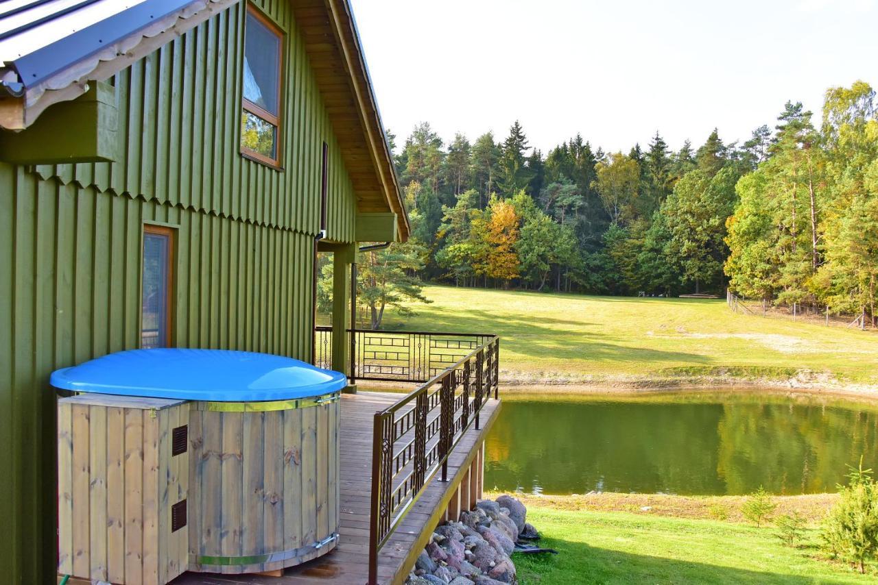 Vip Forest Dreams Villa Anyksciai Exterior photo